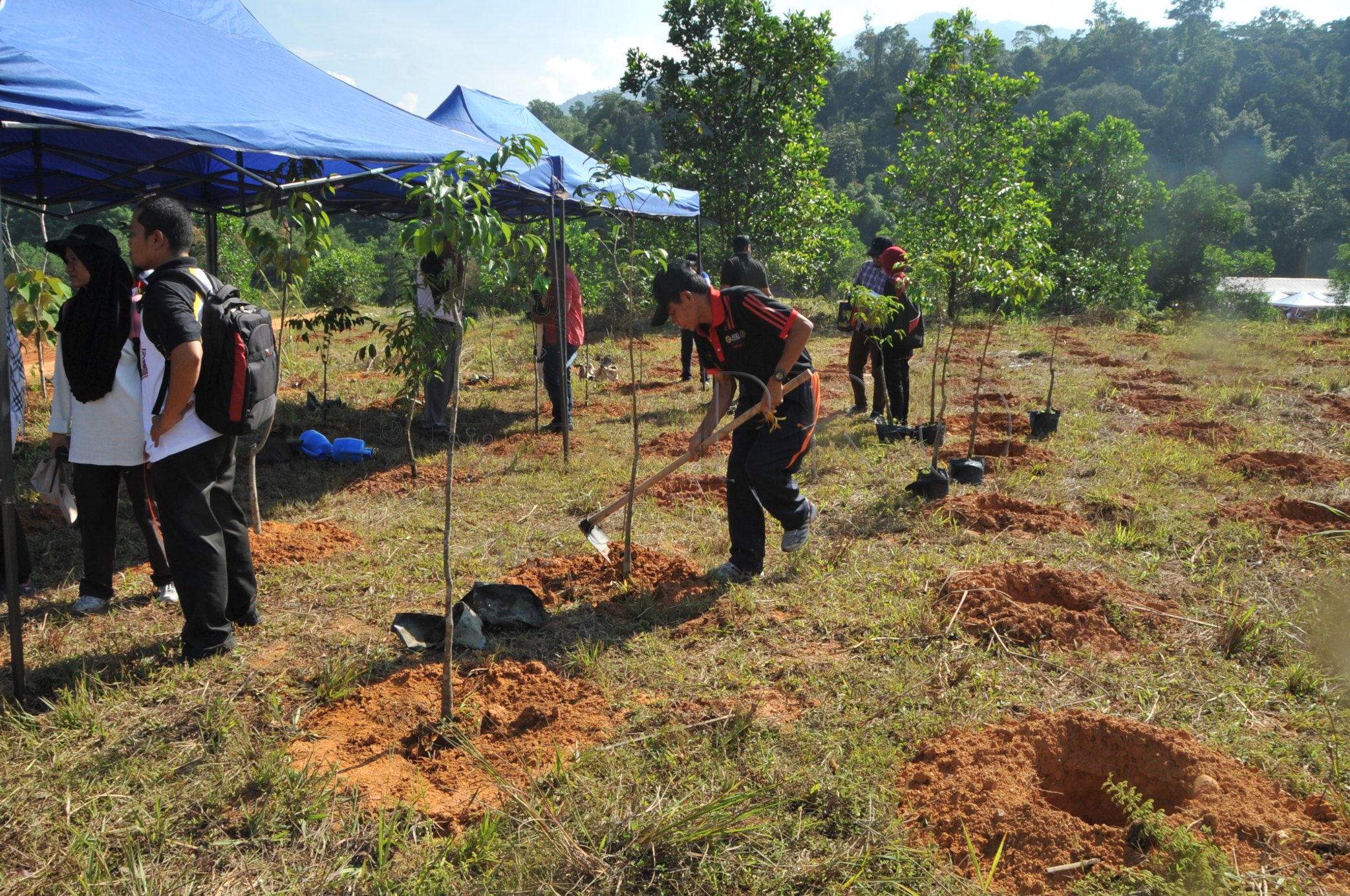 PRO 14 48 KARAS PRO 6715